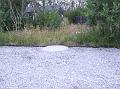 DSCF6109